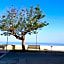I Tesori del Mare