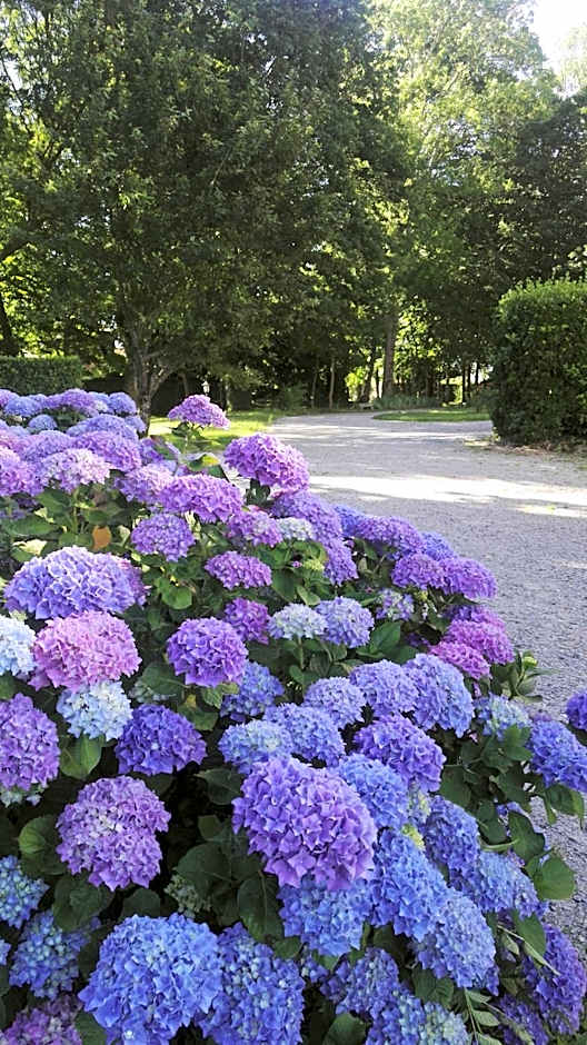 Domaine du Plessis Grimaud