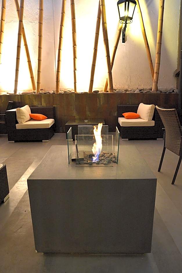 Hotel Director Vitacura