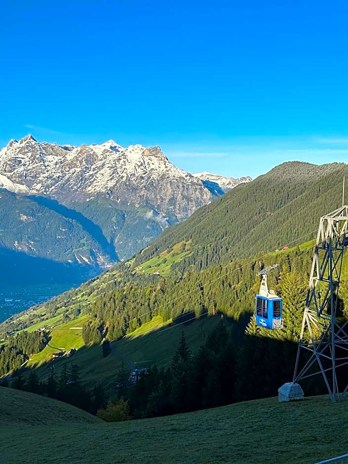 Alphotel Biel-Kinzig - Access by Cable Car only!