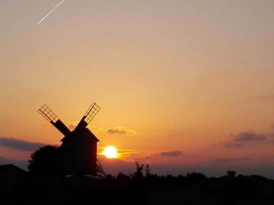 Ohessaare Windmill -Experience accommodation