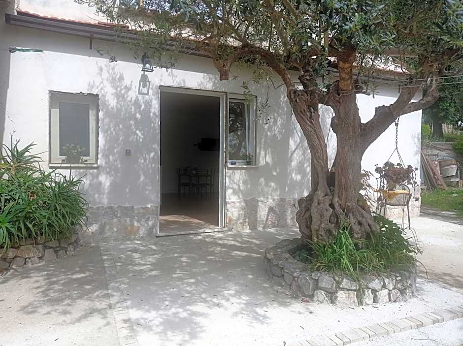 B&B La Vigna Di Mario