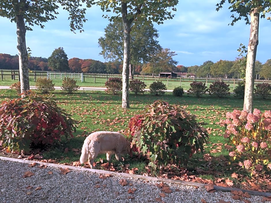 haras du Vignault Le Bûcher