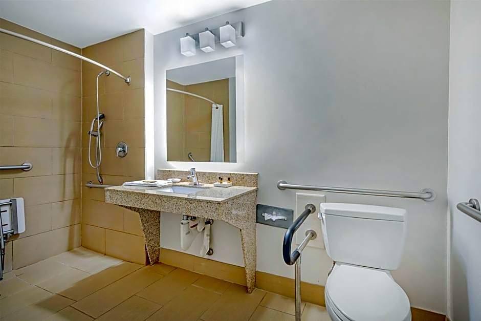 Best Western Plus McDonough Inn & Suites