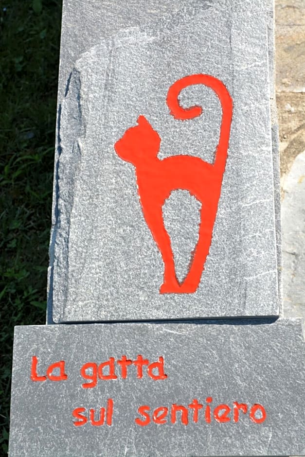 La gatta sul sentiero