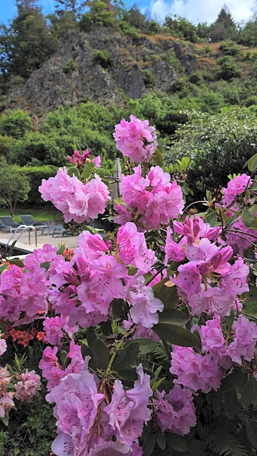 Moulin Renaudiots - Escapade Luxe Refuge cosy & Bourgogne au coin du feu