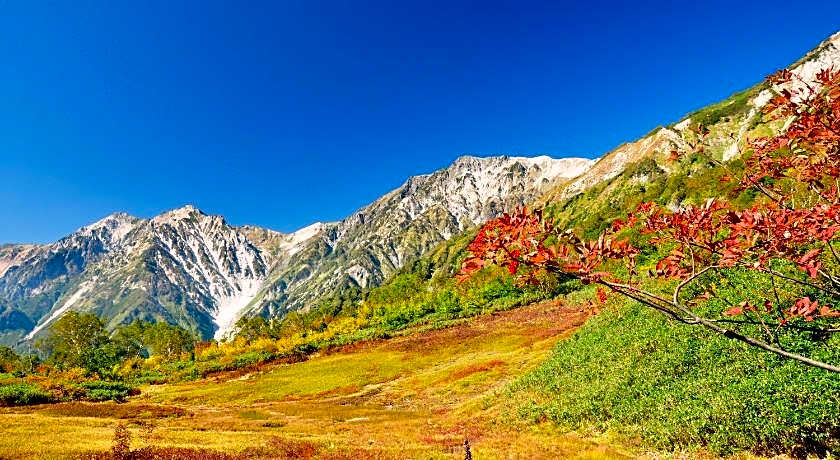 Hotel Hakuba Berg Hause
