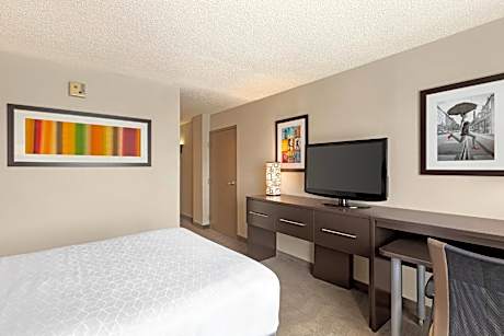 Deluxe Single Room with Roll In Shower - Disability Access
