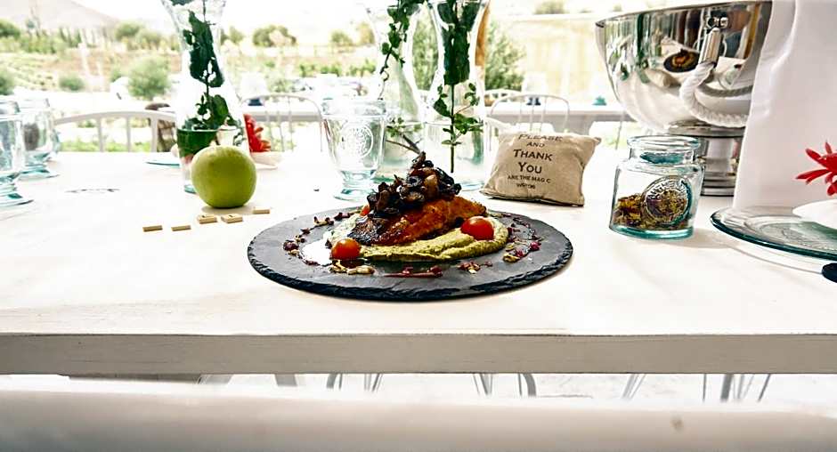 Aelia Wellness Retreat