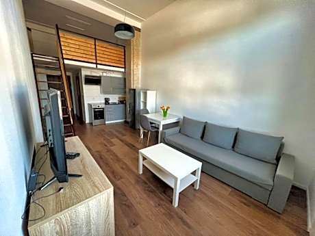 Studio - Split Level - Annex