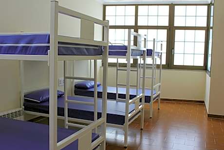 Bunk Bed in Mixed Dormitory Room