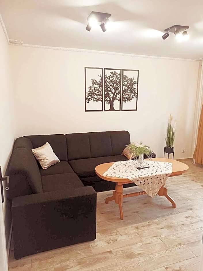 APARTAMENT CENTRUM Międzychód