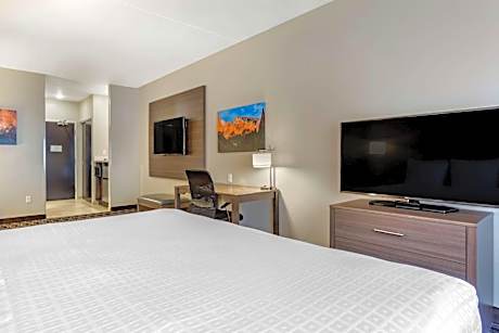 King Suite with Sofa Bed
