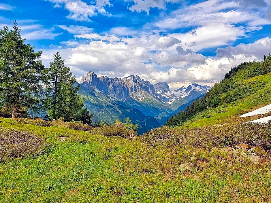Triftblick
