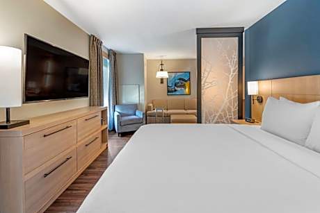 One-Bedroom King Suite