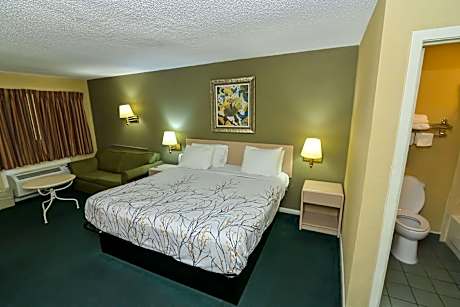 Deluxe King Room - Non-Smoking