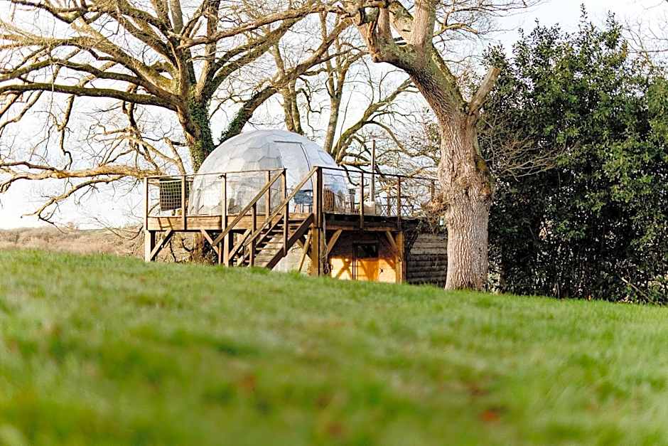 les bulles perchées de lartigue