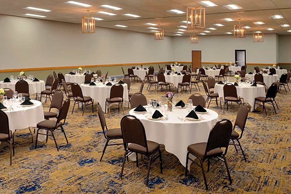 Spark by Hilton Ames