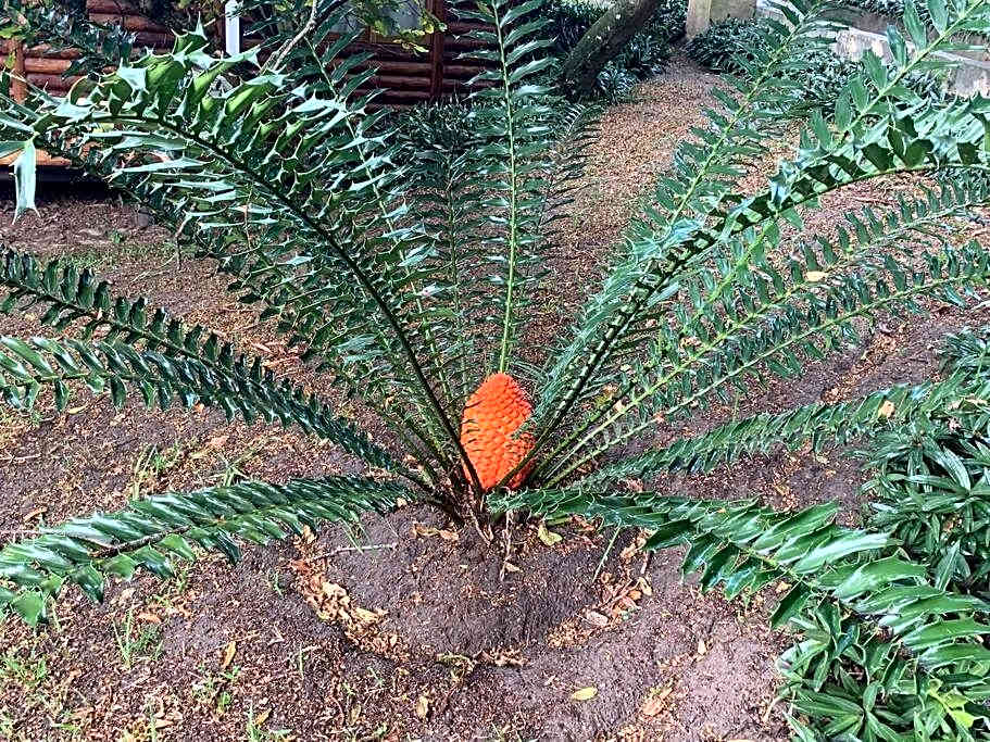 Sodwana Bay Lodge, House 31