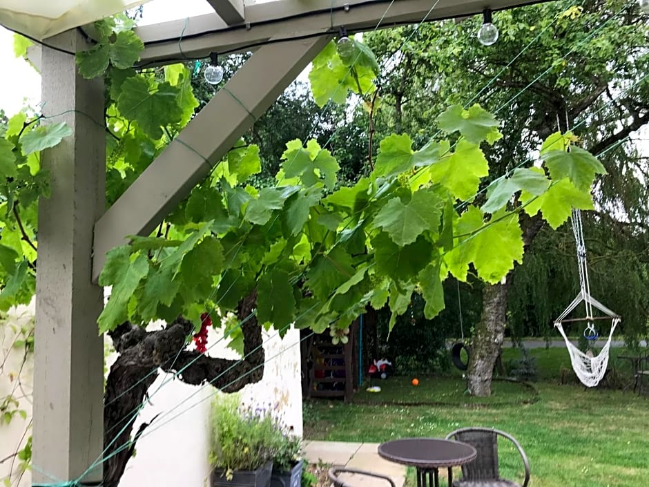 Old Thatch Bambers Green