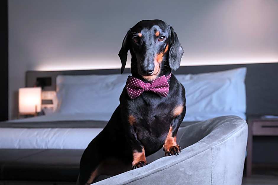 Petit Palace Lealtad Plaza