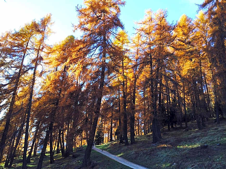 Agritur Maso Ciprianna B&B