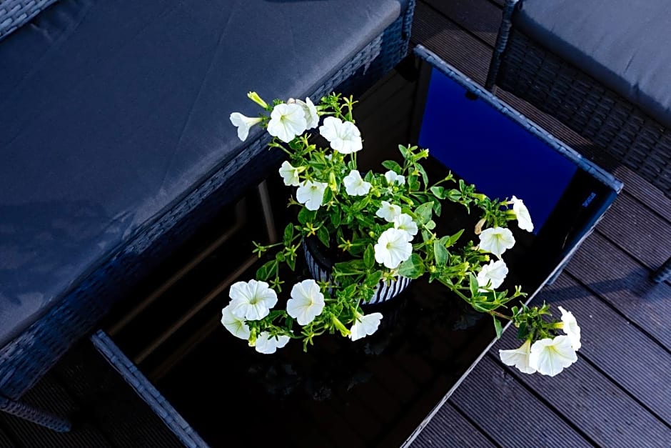 Domki letniskowe Modrzew