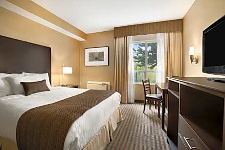 King Room - Non-Smoking