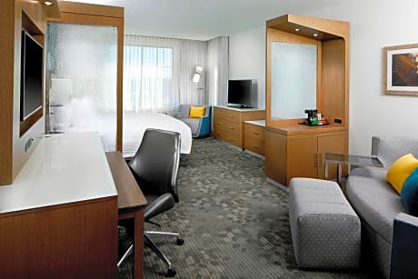 Suite, 1 King Bed with Sofa bed (1 King Bed and 1 Double Sofa Bed)