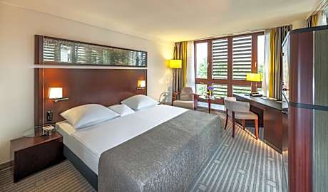 Comfort Double Room with Park View