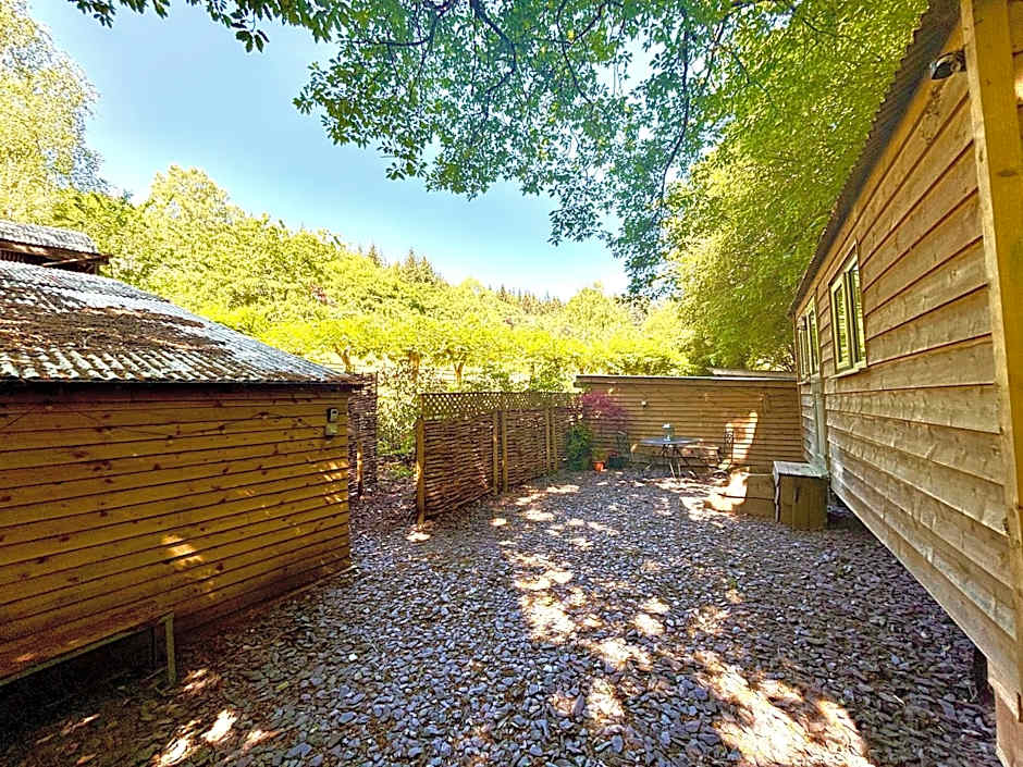 Shepherd’s delight