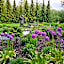 Niedźwiedzia Residence Garden & Sauna