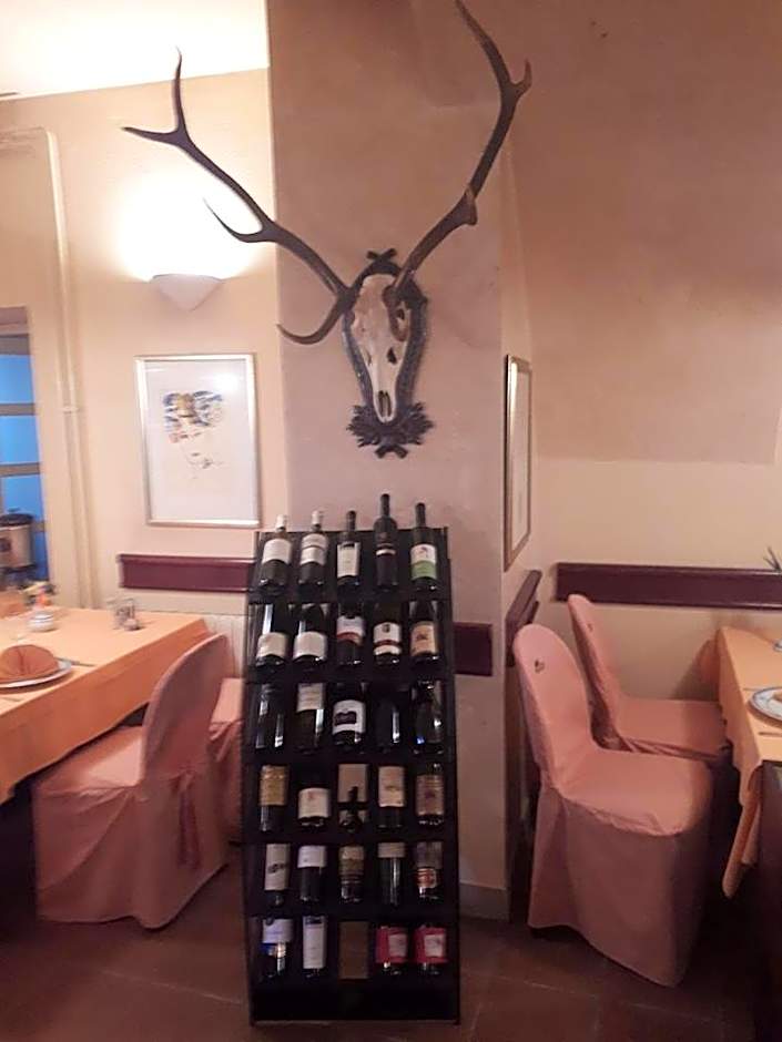 Hotel Mance