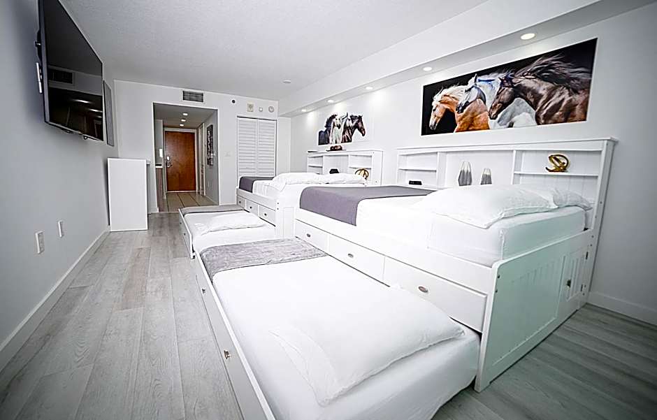 Modern and Luxurious Brickell Studio