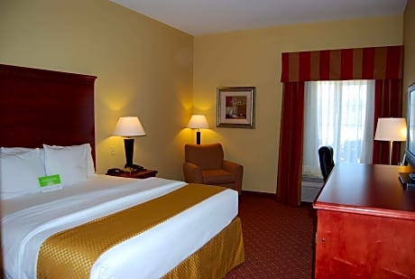 1 King Bed Non-Smoking