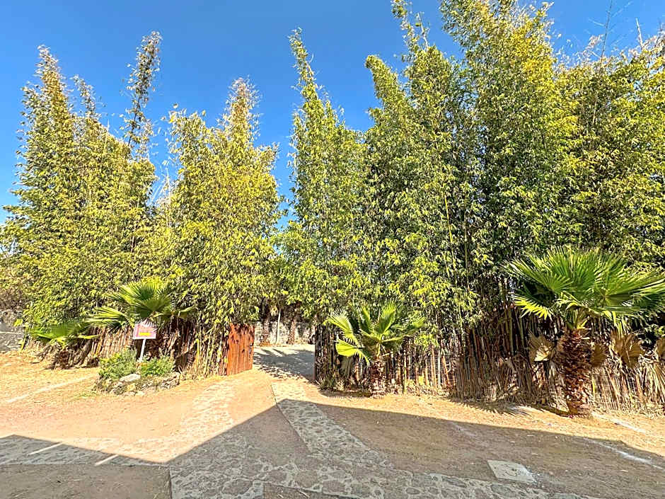 Hotel Boutique Bacaanda