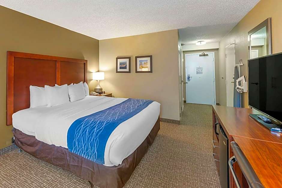 Comfort Inn Elizabeth City near University