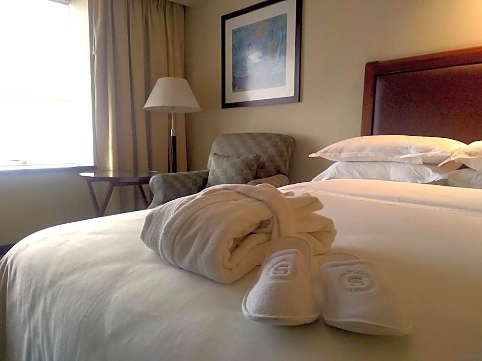 Sheraton Mendoza Hotel