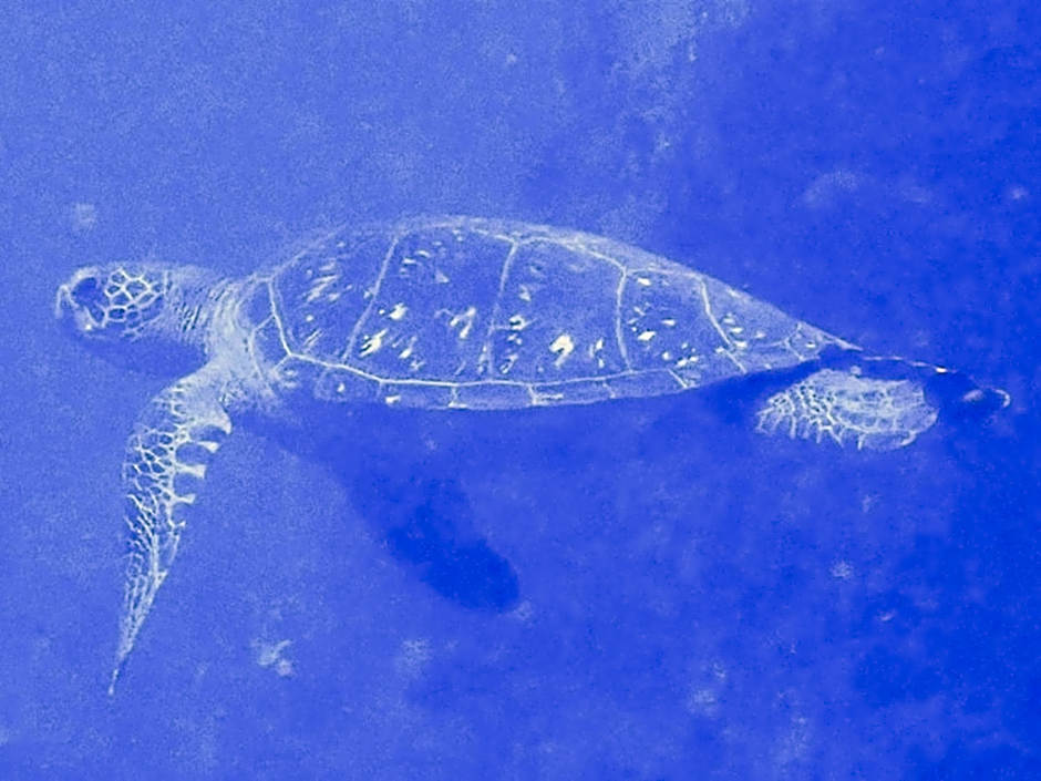 Yuraku Izu-Oshima dormitory - Vacation STAY 51863v