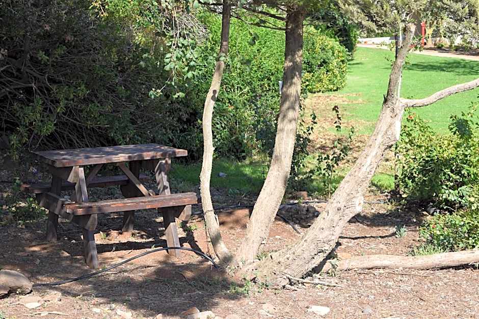 Aloney Habashan Guest village