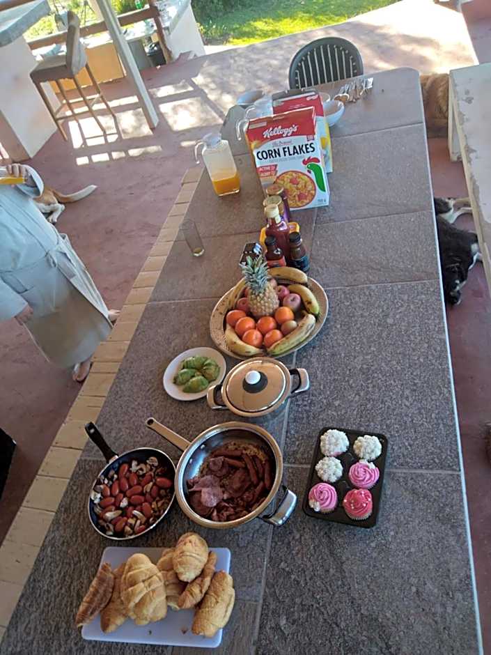 Rainforest Ridge Eco Resort