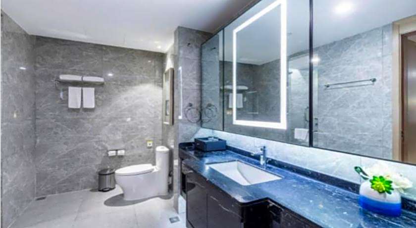 Somerset Yangtze River Chongqing