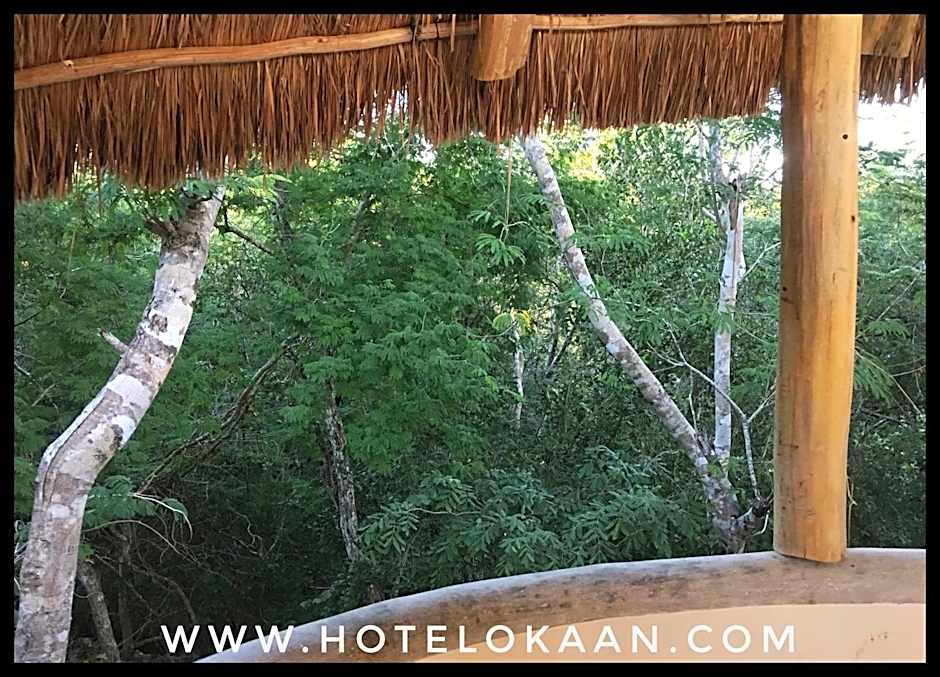 Hotel Okaan
