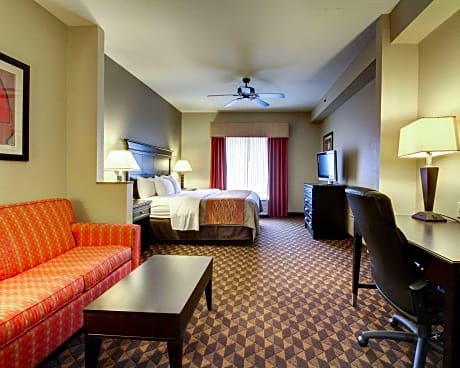 1 King Bed, Suite, No Smoking, Accessible Room