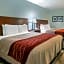 SureStay Plus Hotel Buffalo by Best Western