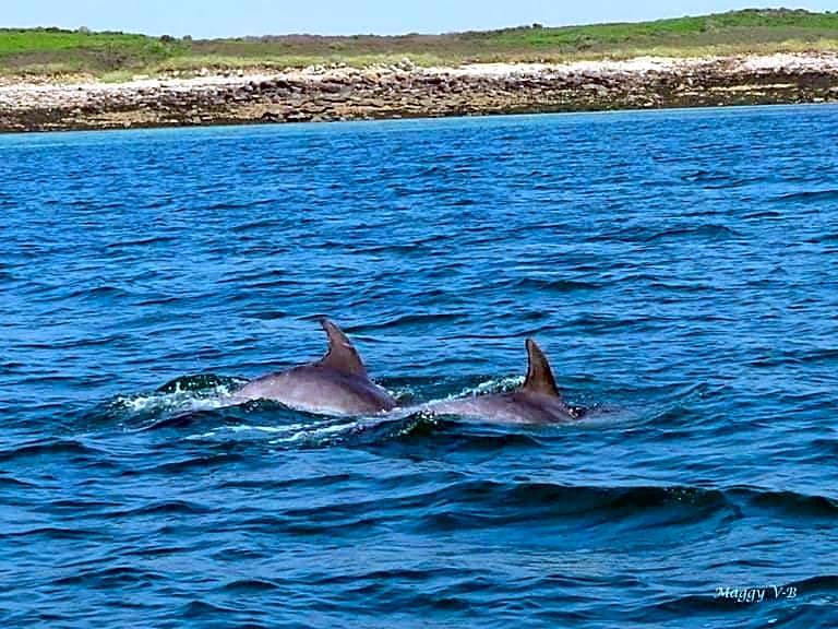 Dépendance Spacieuse & Cosy Entre et Mer avec Spa