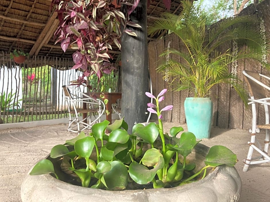 Botanica Eco Lodge