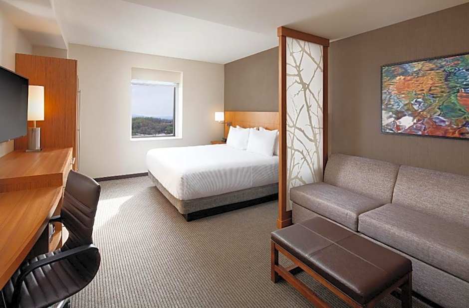 Hyatt Place Knoxville/Downtown