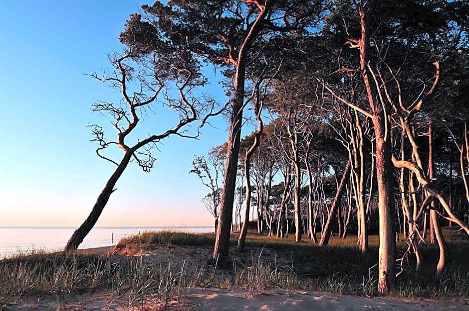 Hotel & Restaurant Seebrücke