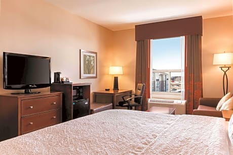 1 King Bed Studio Suite W/Sofabed Nonsmoking